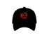#1211 - PIG APPLE HAT